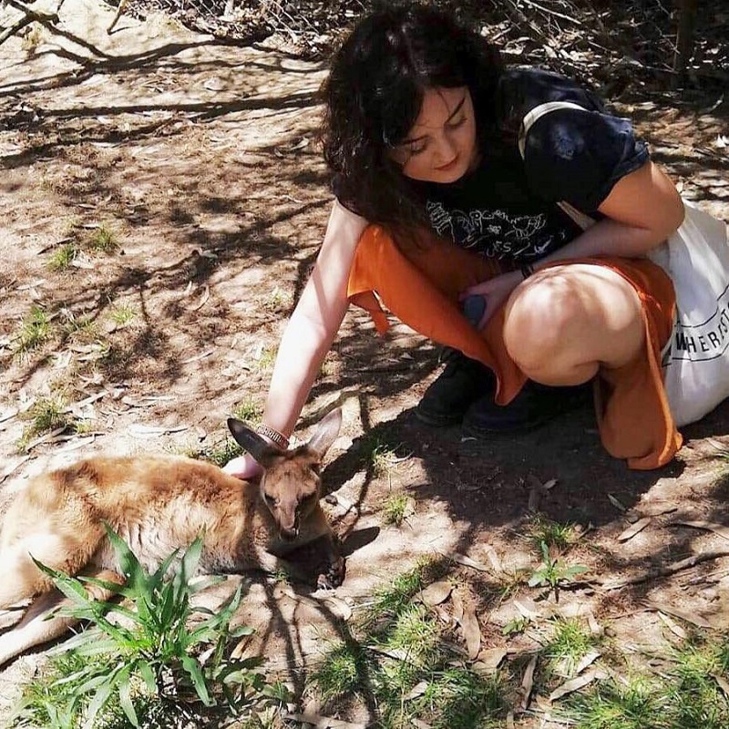Make friends with the local wildlife during your work placement in Australia